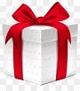 «Новогодний подарок»